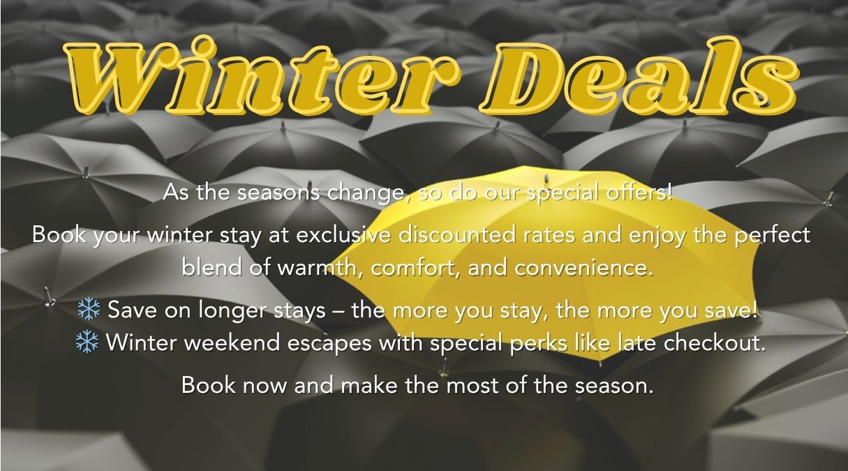 Winter Banner